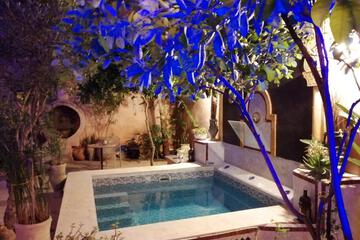 Photo 40