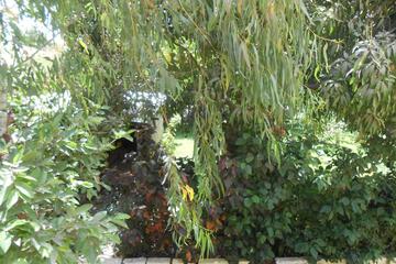 Photo 63