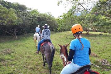 Horseback riding