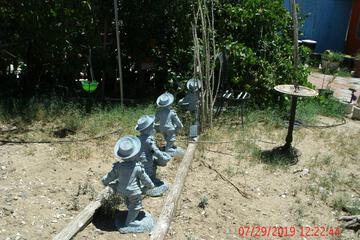 Photo 51