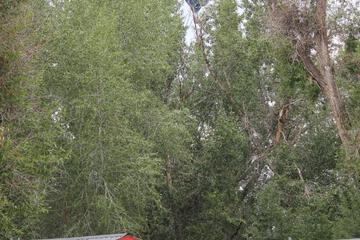 Photo 42