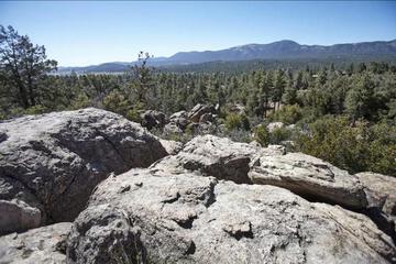 Photo 30