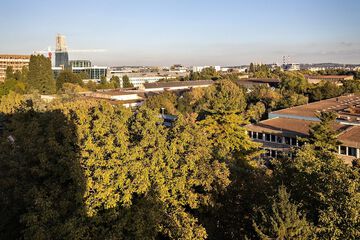 City view