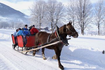 Sledding