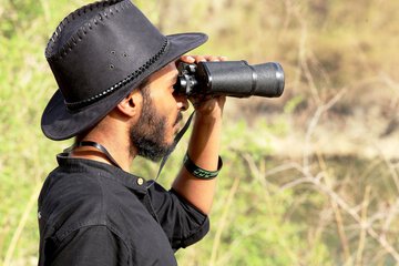 Safari