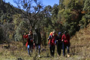 Hiking