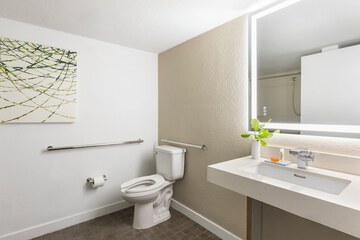 Accessible bathroom