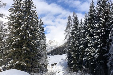 Snowshoeing
