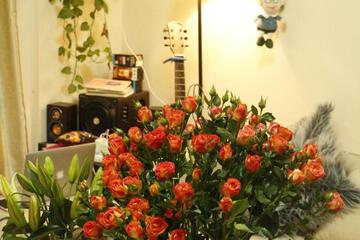 Photo 44