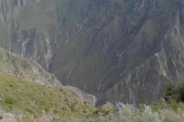 Photo 39