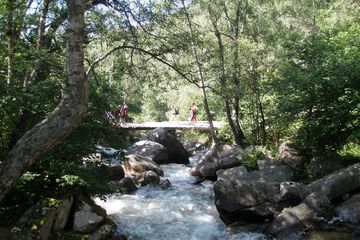 Hiking