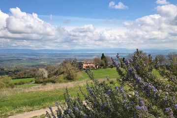Land view from property
