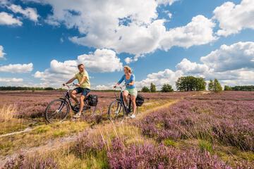 Bicycling