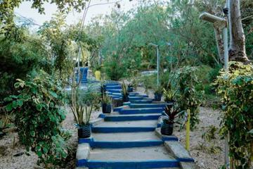 Photo 50