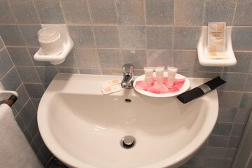 Bathroom sink