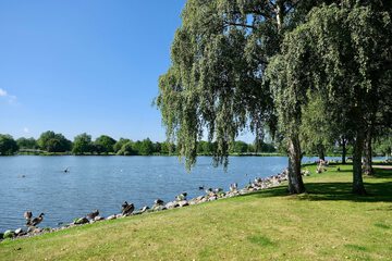 Lake