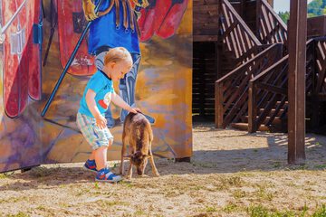 Children's activities