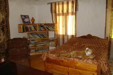 Photo 56