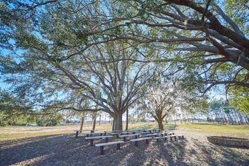 BBQ/picnic area