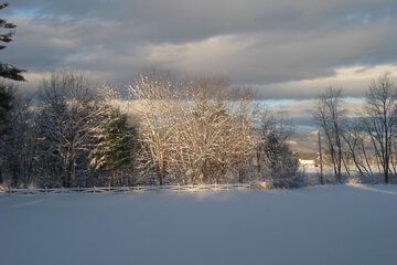 View from property