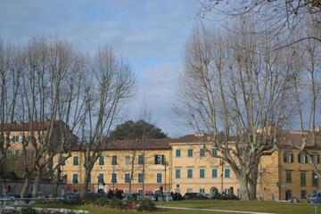 Photo 45