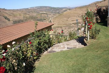 Land view from property