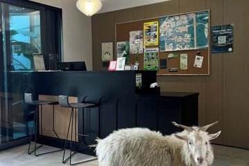 Pet-friendly