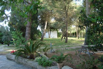 BBQ/picnic area