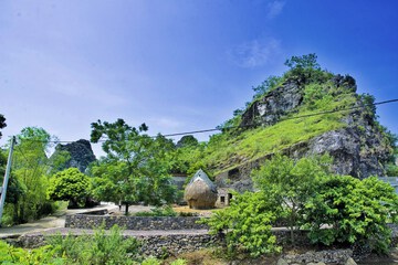 Ecotours