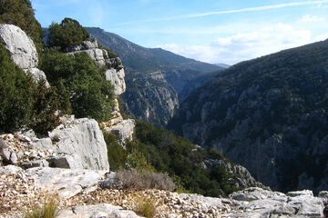 Hiking
