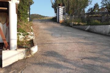 Photo 31