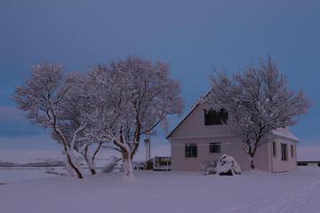 Photo 48