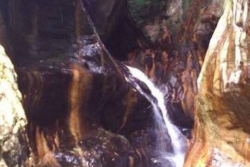 Ecotours