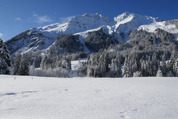 Snowshoeing