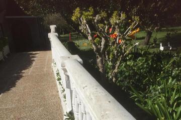 Photo 43