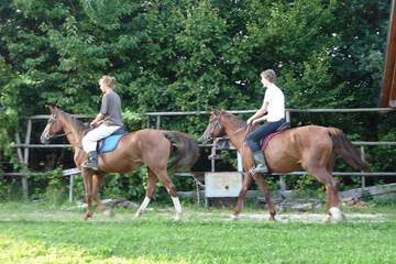 Horseback riding
