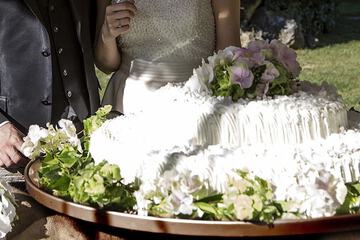 Outdoor wedding area