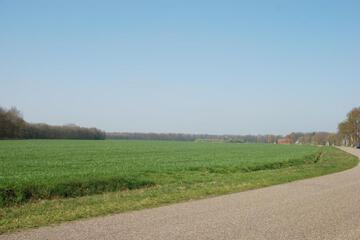 Photo 57
