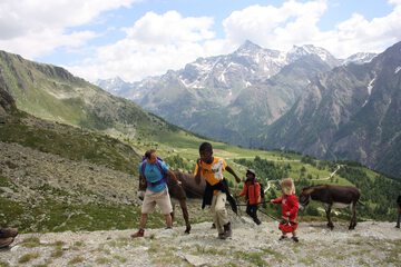 Ecotours