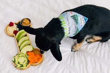 Pet-friendly amenities