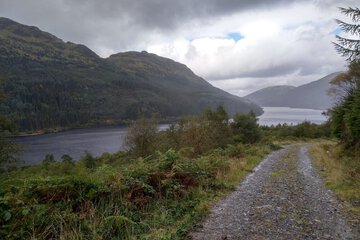 Photo 43