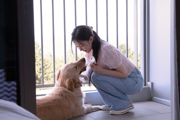 Pet-friendly
