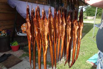 Photo 43