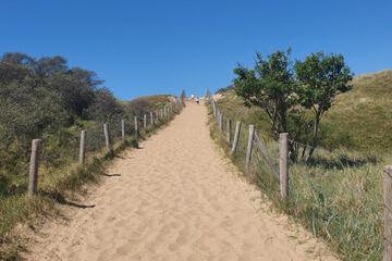 Photo 31