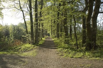 Hiking