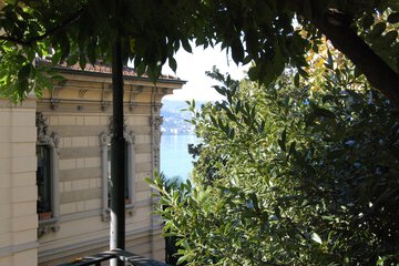 Lake view