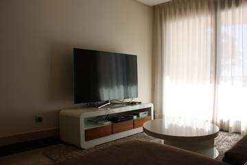 Television