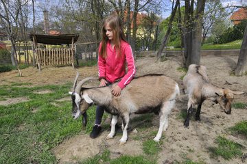 Children's activities