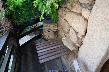 Photo 44