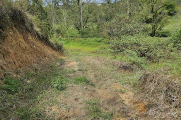 Hiking